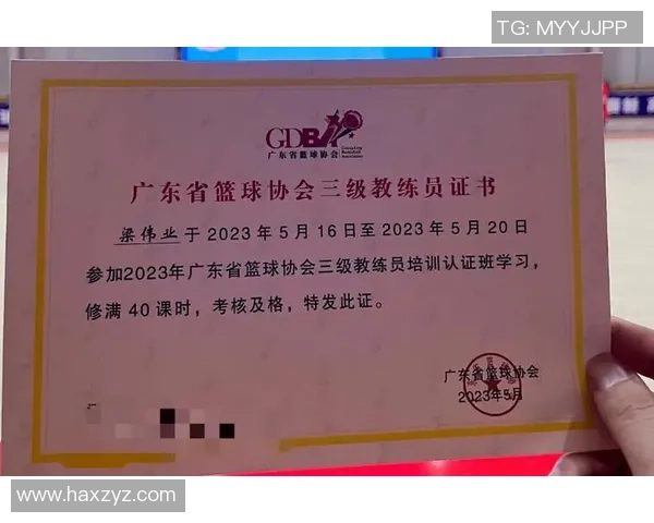 三级篮球裁判员证书的重要性及获取途径解析与经验分享